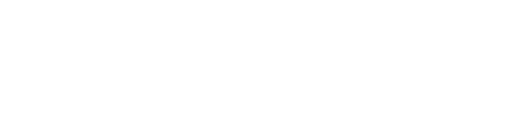 Securiton