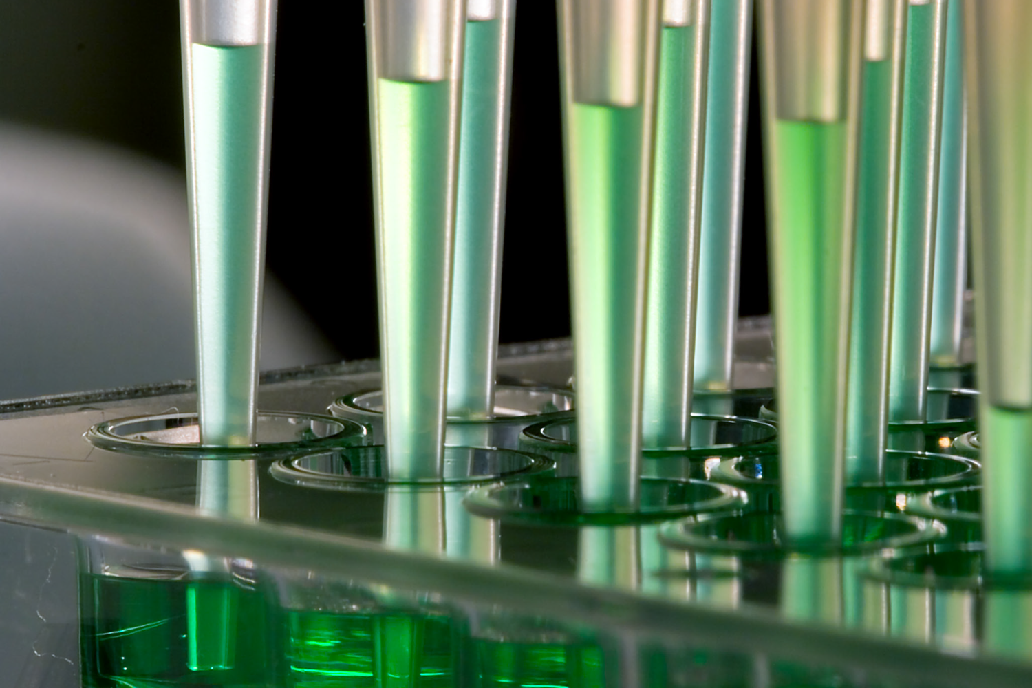 TXT_BrandGuideline-34