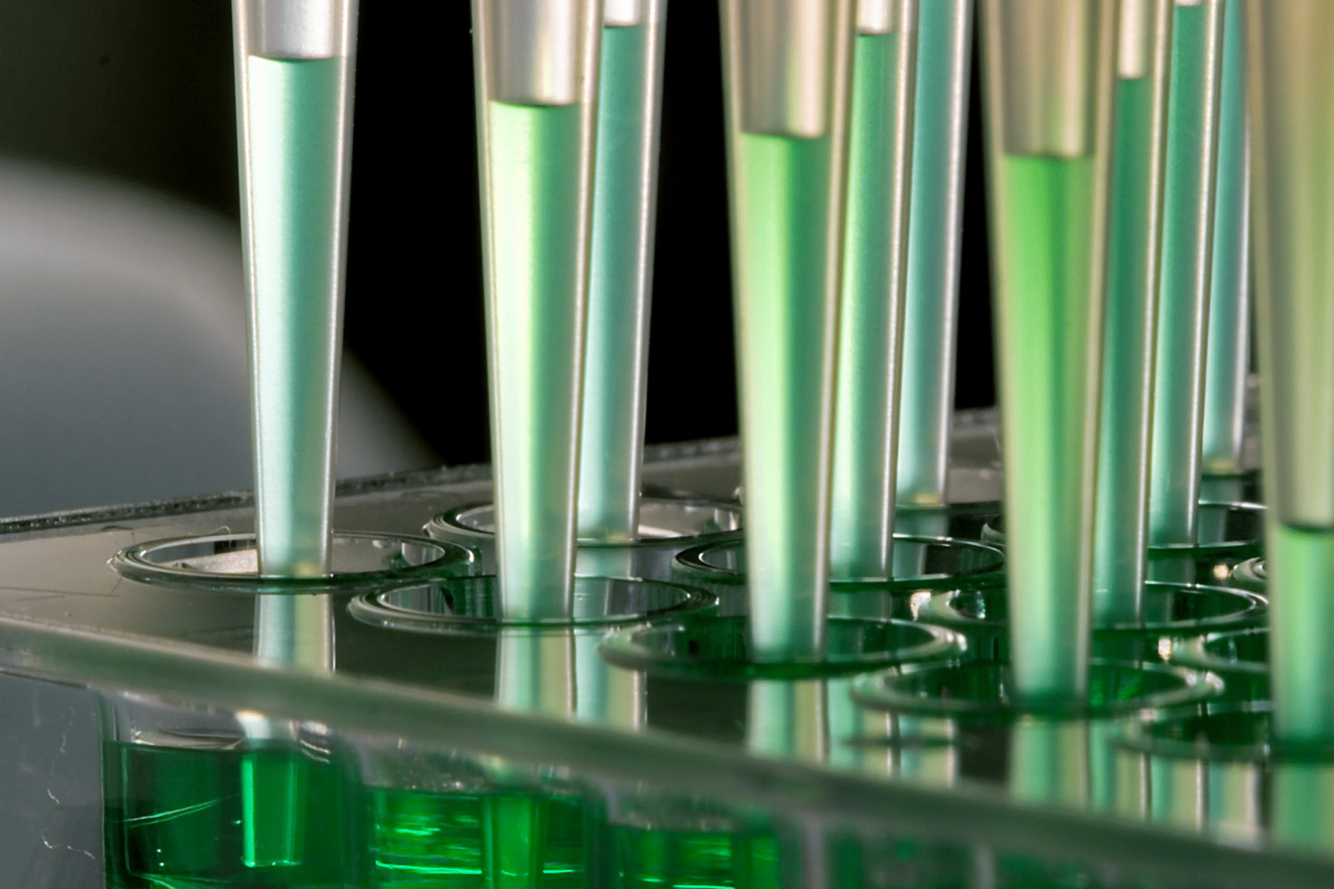 TXT_BrandGuideline-34