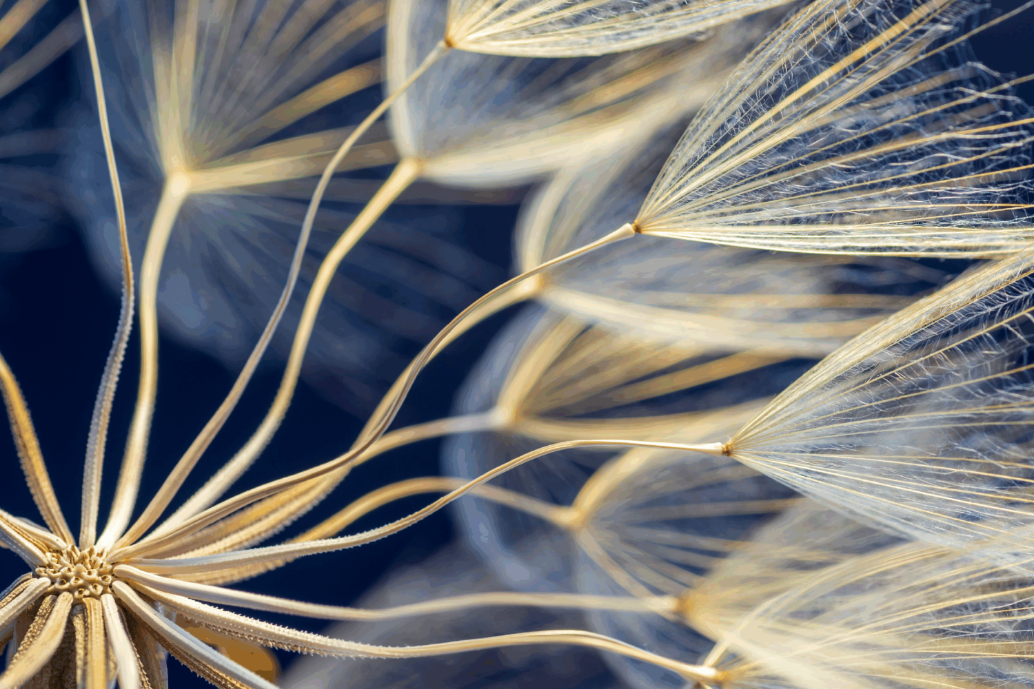 TXT_BrandGuideline-36