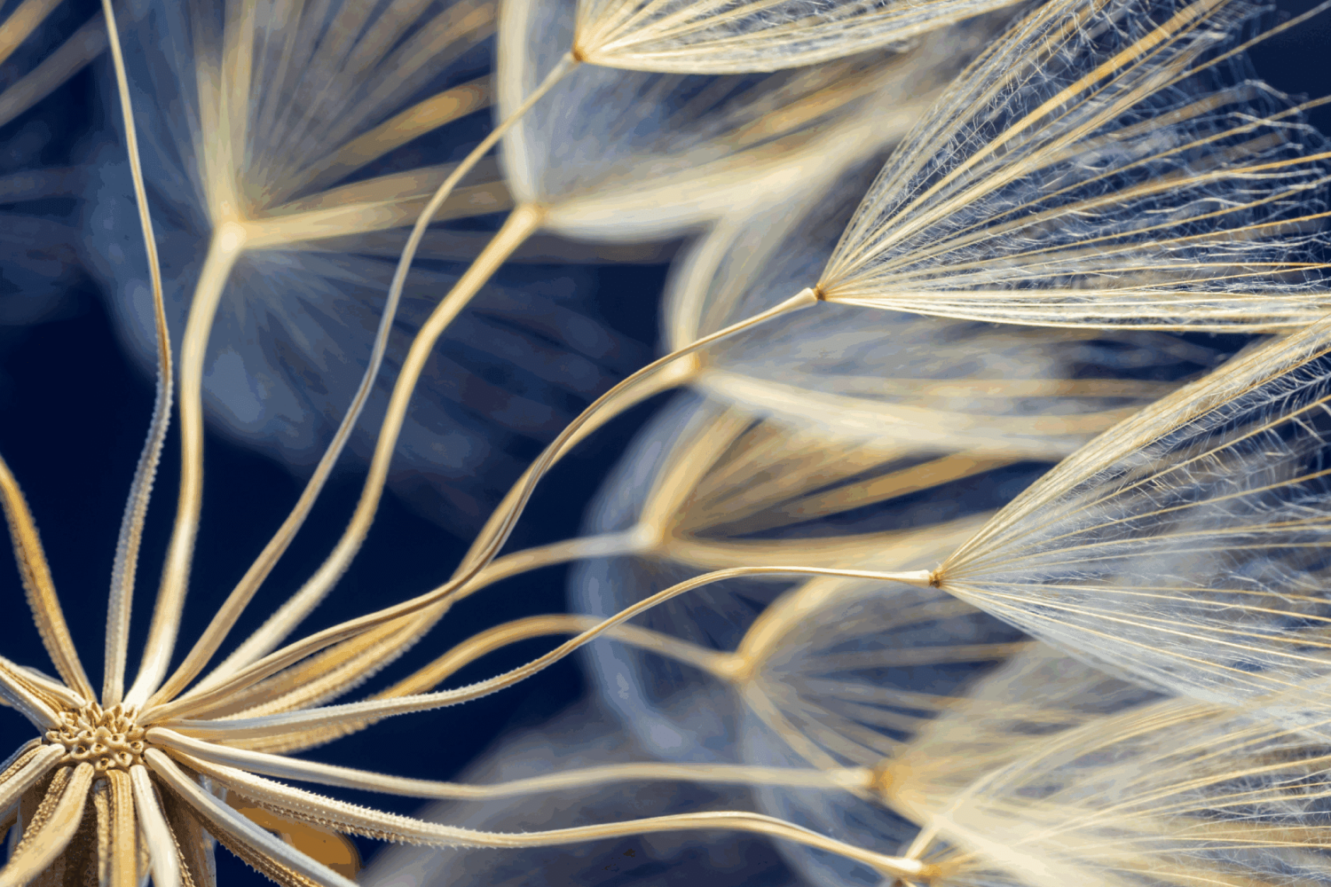 TXT_BrandGuideline-36